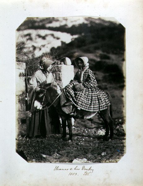 Eleanor ja hänen aasi tekijältä John Dillwyn Llewelyn