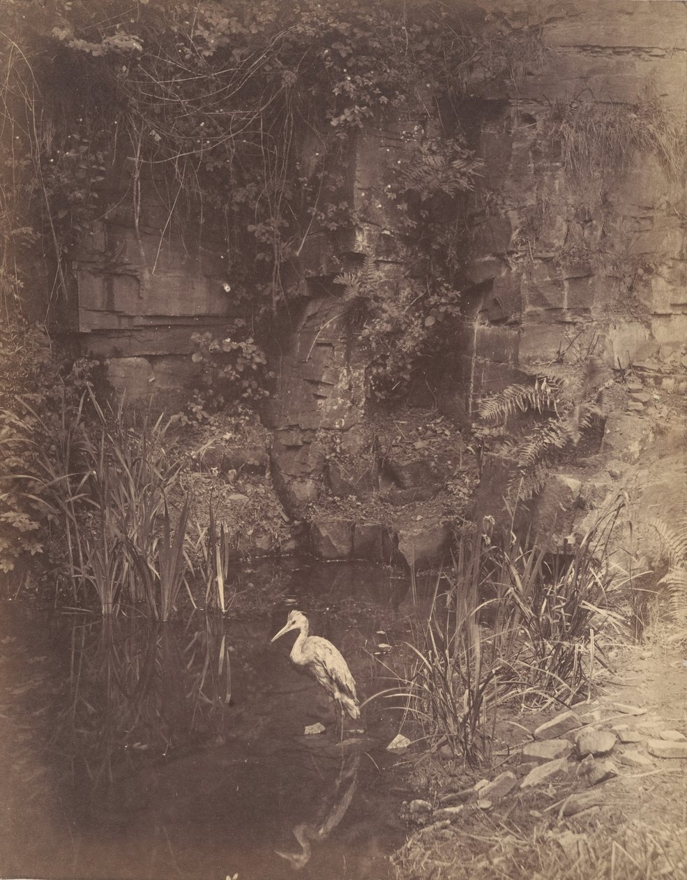 Kalastaja, nro. 2, 1856. tekijältä John Dillwyn Llewelyn