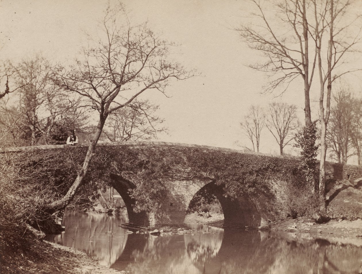Country Bridge Staplylton Bridge, Bristol, n. 1854-1857. tekijältä John Dillwyn Llewelyn