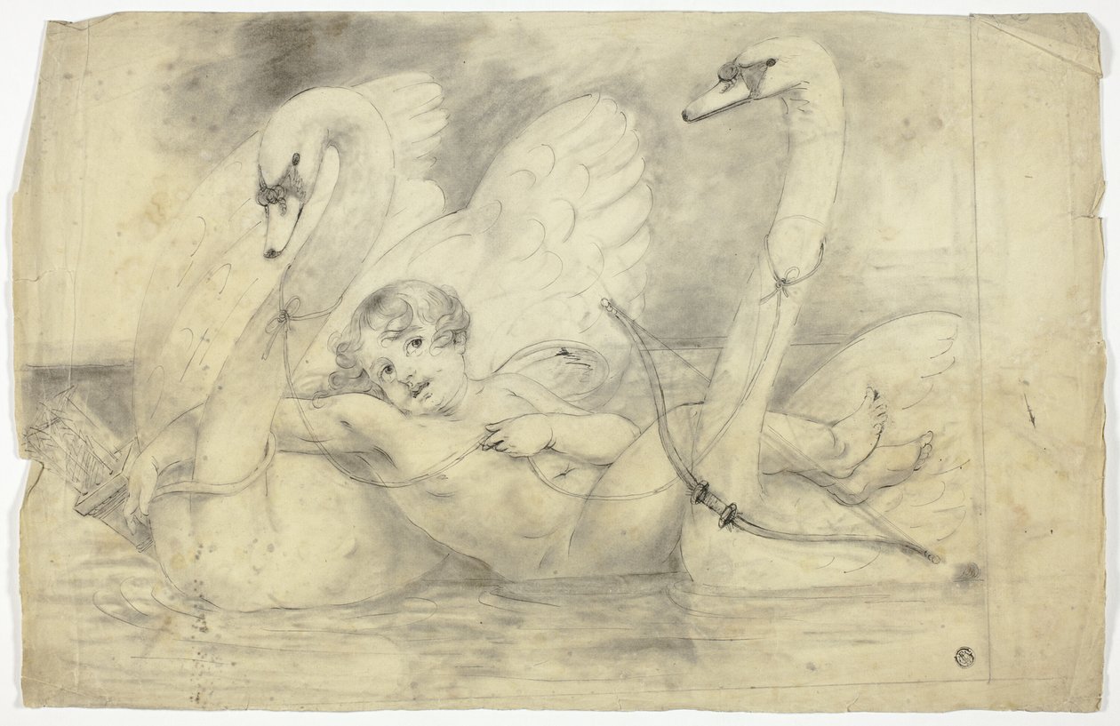Amor ja joutsenet tekijältä John Downman