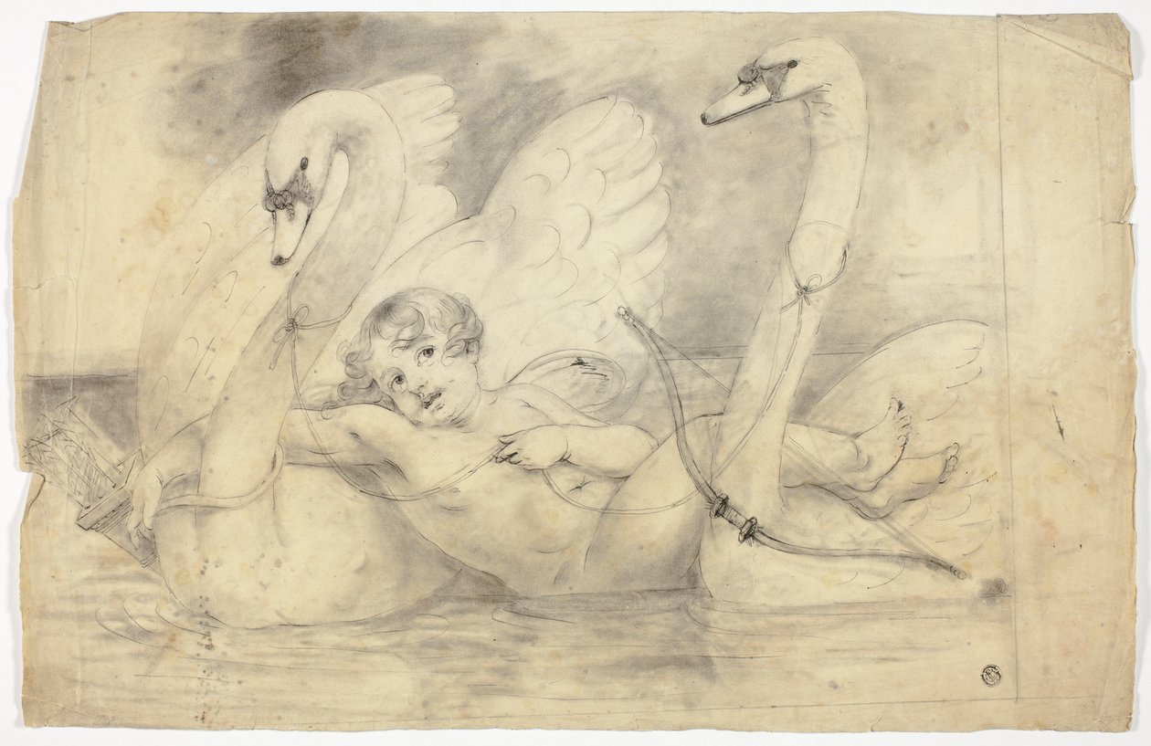 Amor ja joutsenet tekijältä John Downman
