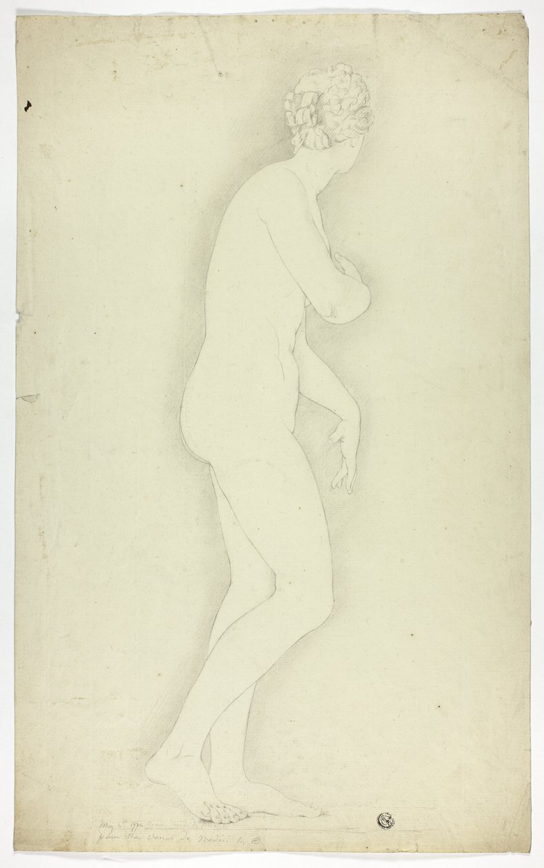 Venus de