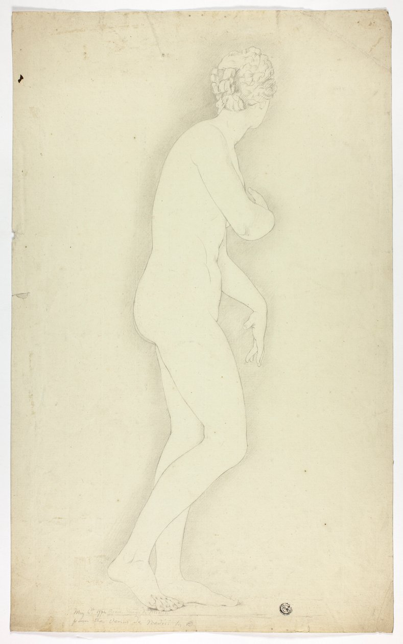 Venus de