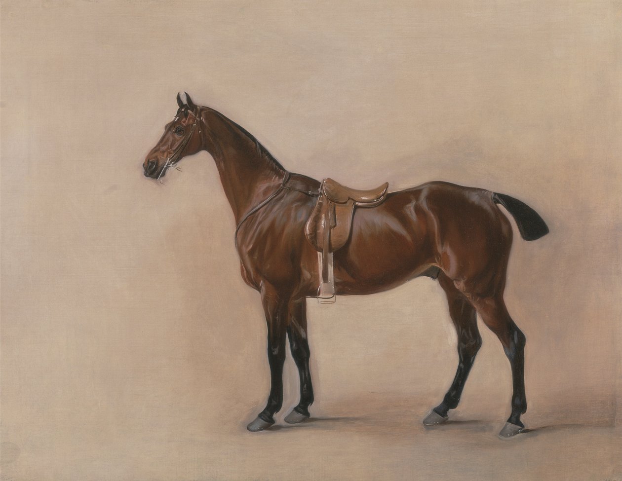 Tutkimus Saddled Bay Hunterista tekijältä John E. Ferneley