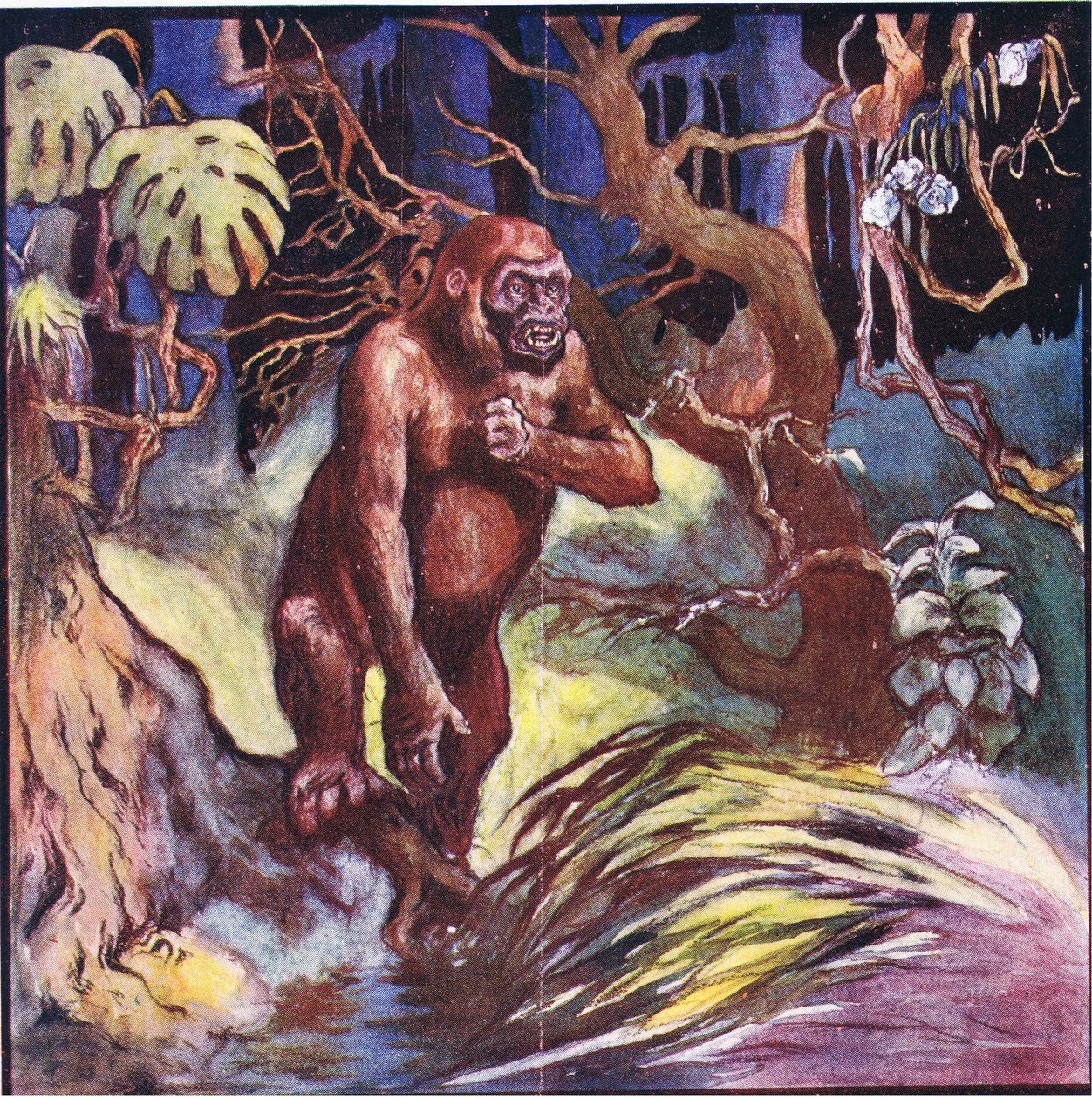 Edessämme seisoi valtava gorilla (värinen lito) tekijältä John Edwin Noble