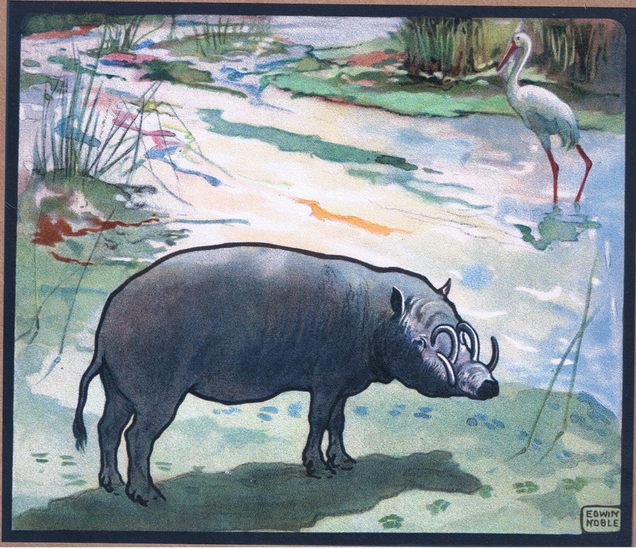 Bush Pig (Red River Hog) tekijältä John Edwin Noble