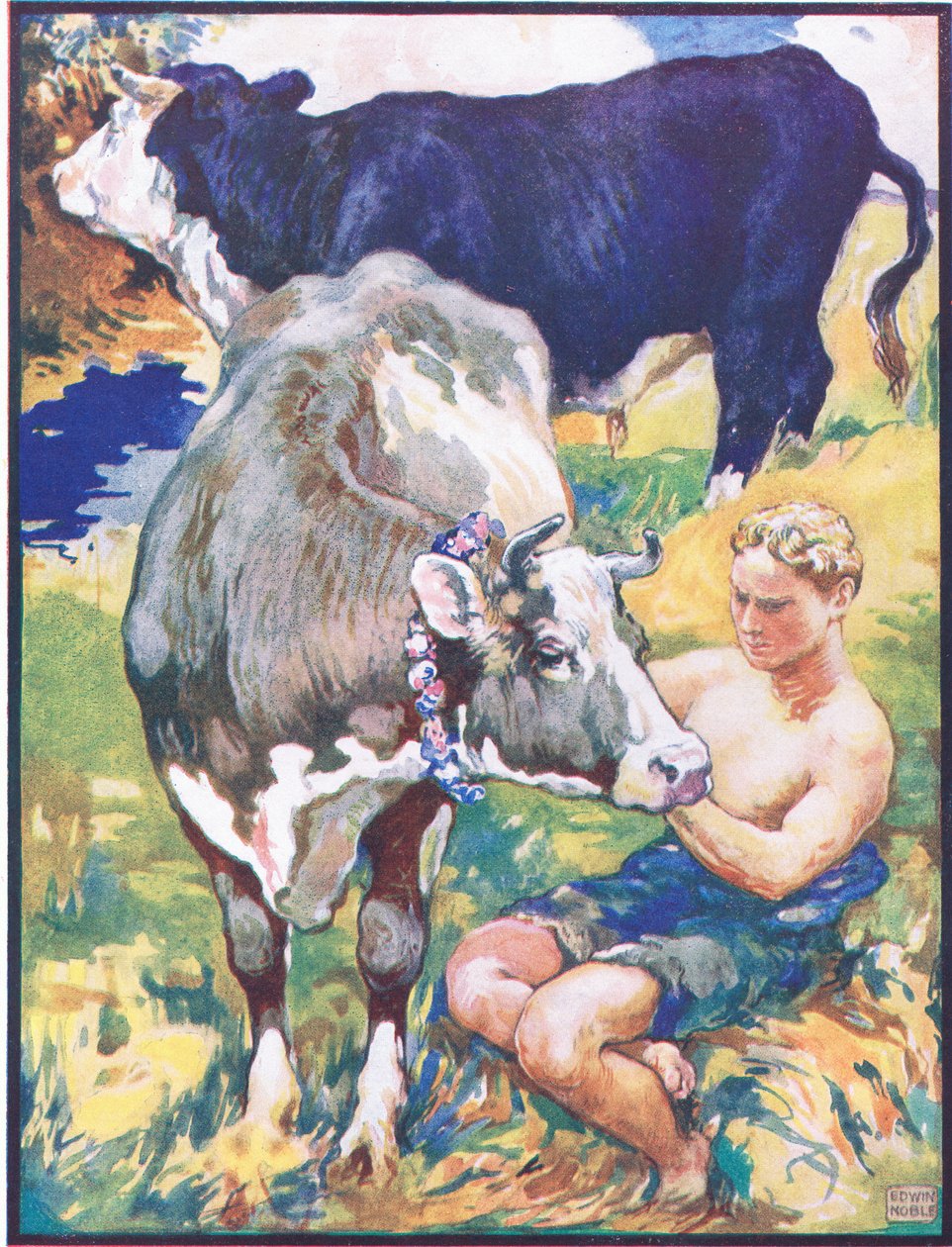 "Icoronata oli suosikki", kuvitus teokselle "Chiarino the Bull and the Ambitious Mule", "Animal Legends from Many Lands", julkaisija Raphael Tuck & Sons Ltd. (väri litho) tekijältä John Edwin Noble