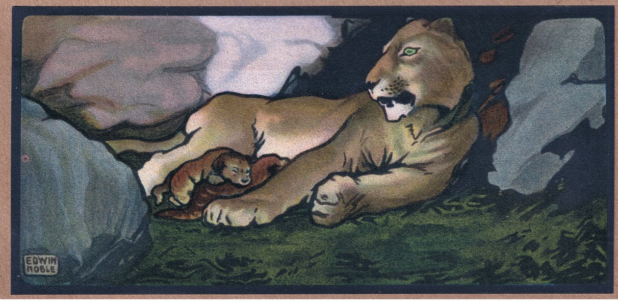 Leijona nuorten kanssa tekijältä John Edwin Noble