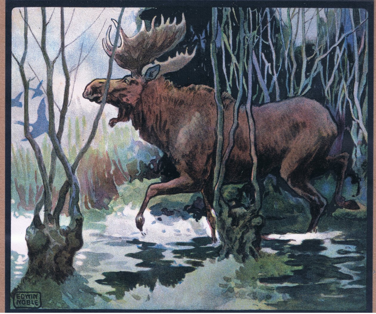 Hirvi tekijältä John Edwin Noble