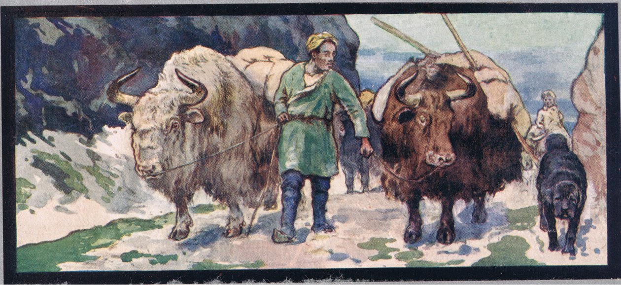 Iacs de muntanya, il·lustració de 