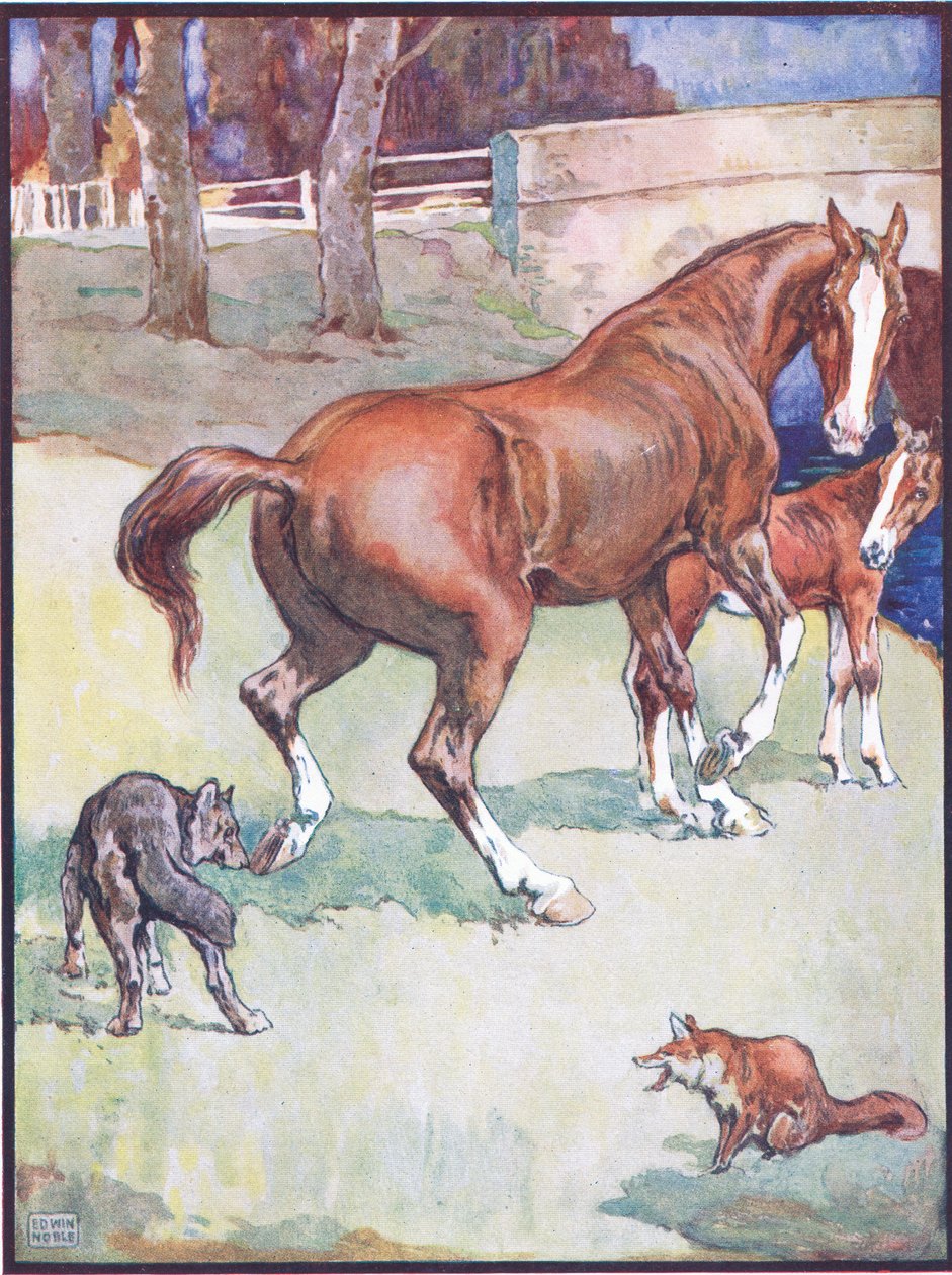 Tamma nosti kaviansa, kuvitus Reynard the Foxille, kirjasta Animal Legends from Many Lands, julkaisija Raphael Tuck & Sons Ltd. tekijältä John Edwin Noble
