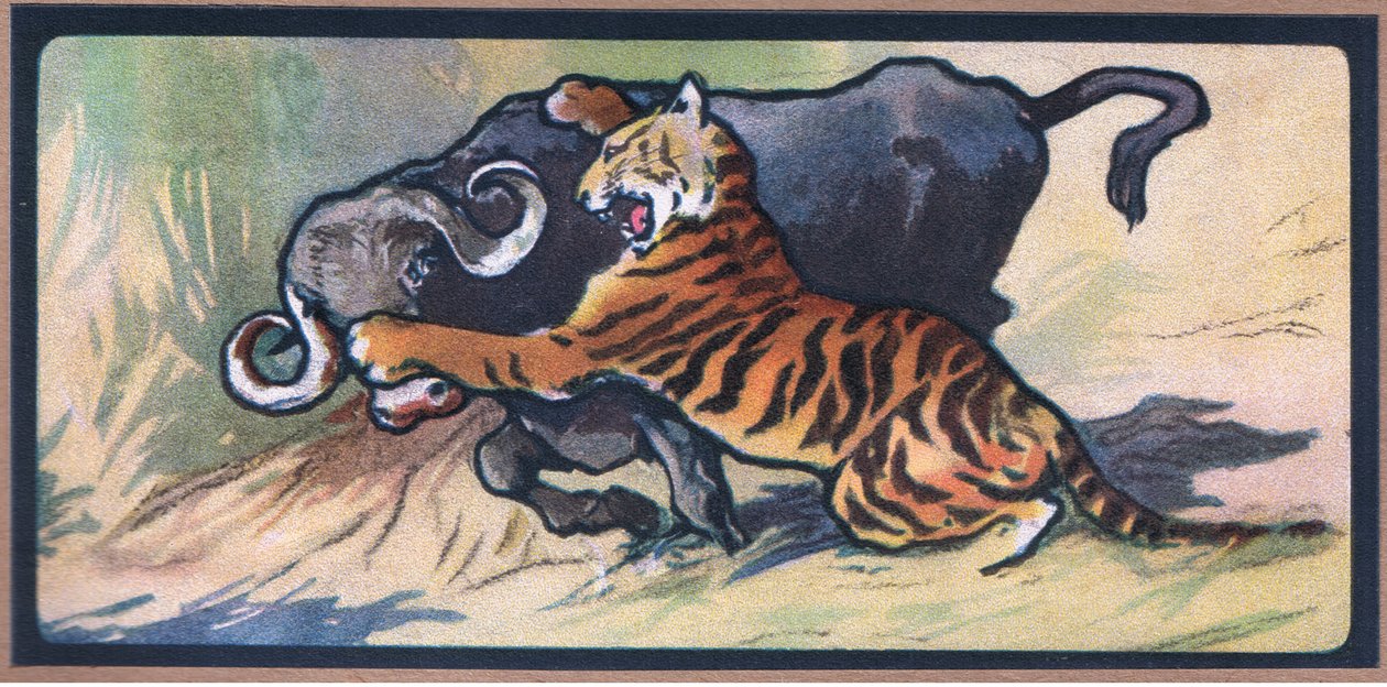 Tiger ja Buffalo tekijältä John Edwin Noble