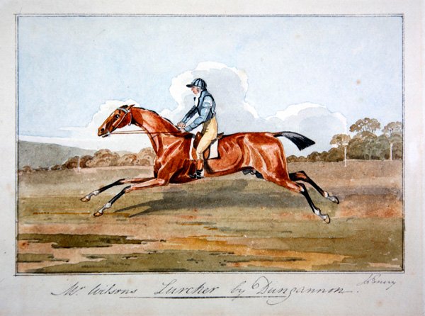 Mr Wilsonin "Lurcher", Dungannon tekijältä John Emery