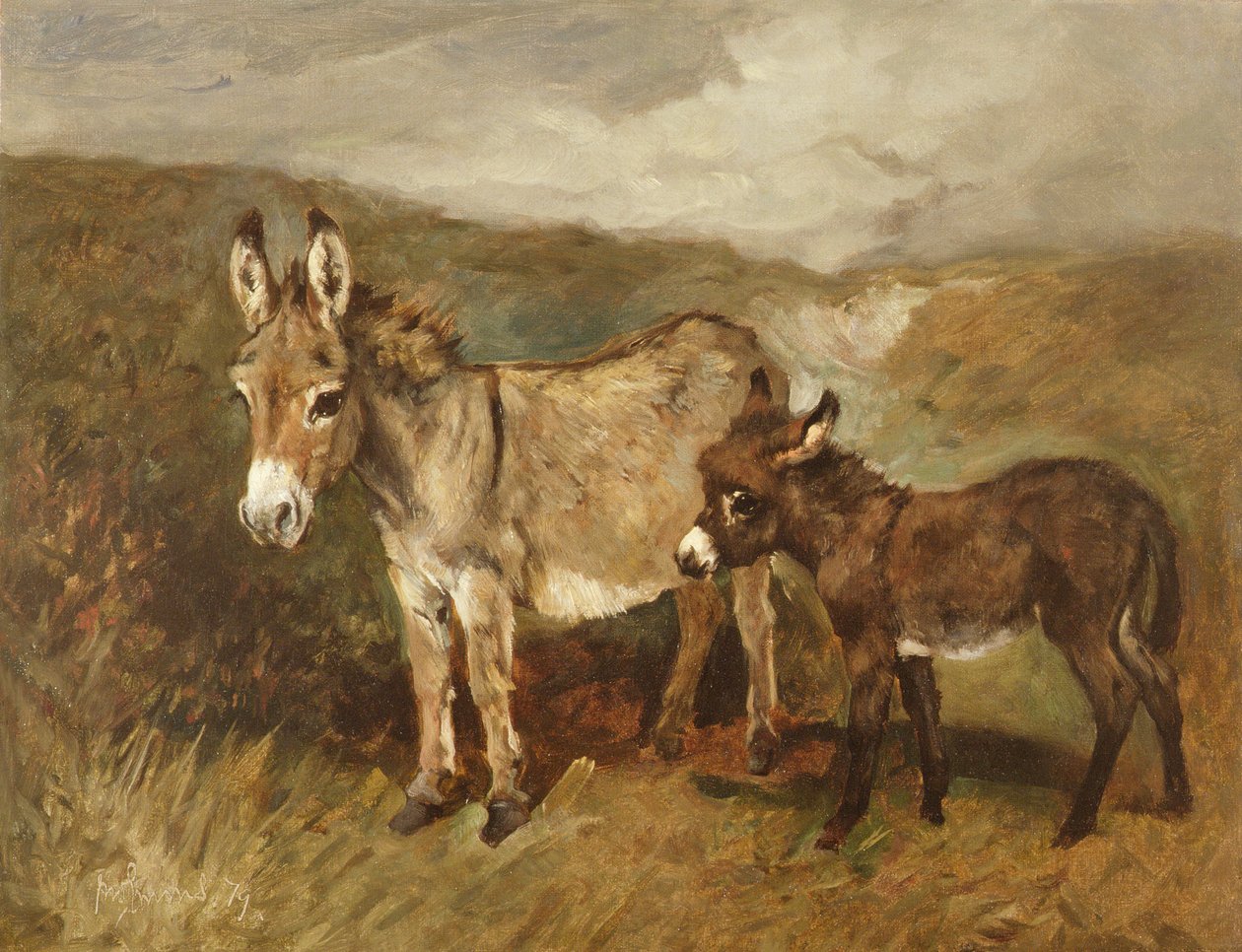 Aasit maurilla, n. 1890 tekijältä John Emms