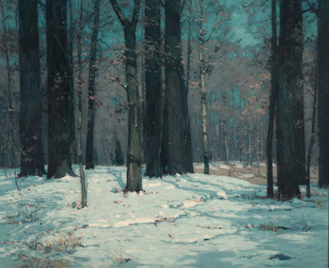 Metsät talvella tekijältä John F. Carlson