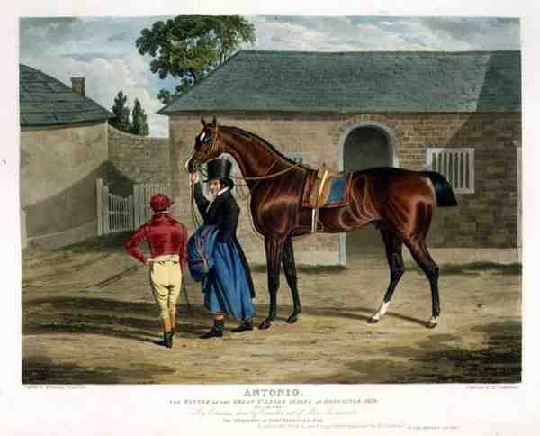 "Antonio", Doncasterin suuren St. Legerin voittaja tekijältä John Frederick Herring Snr