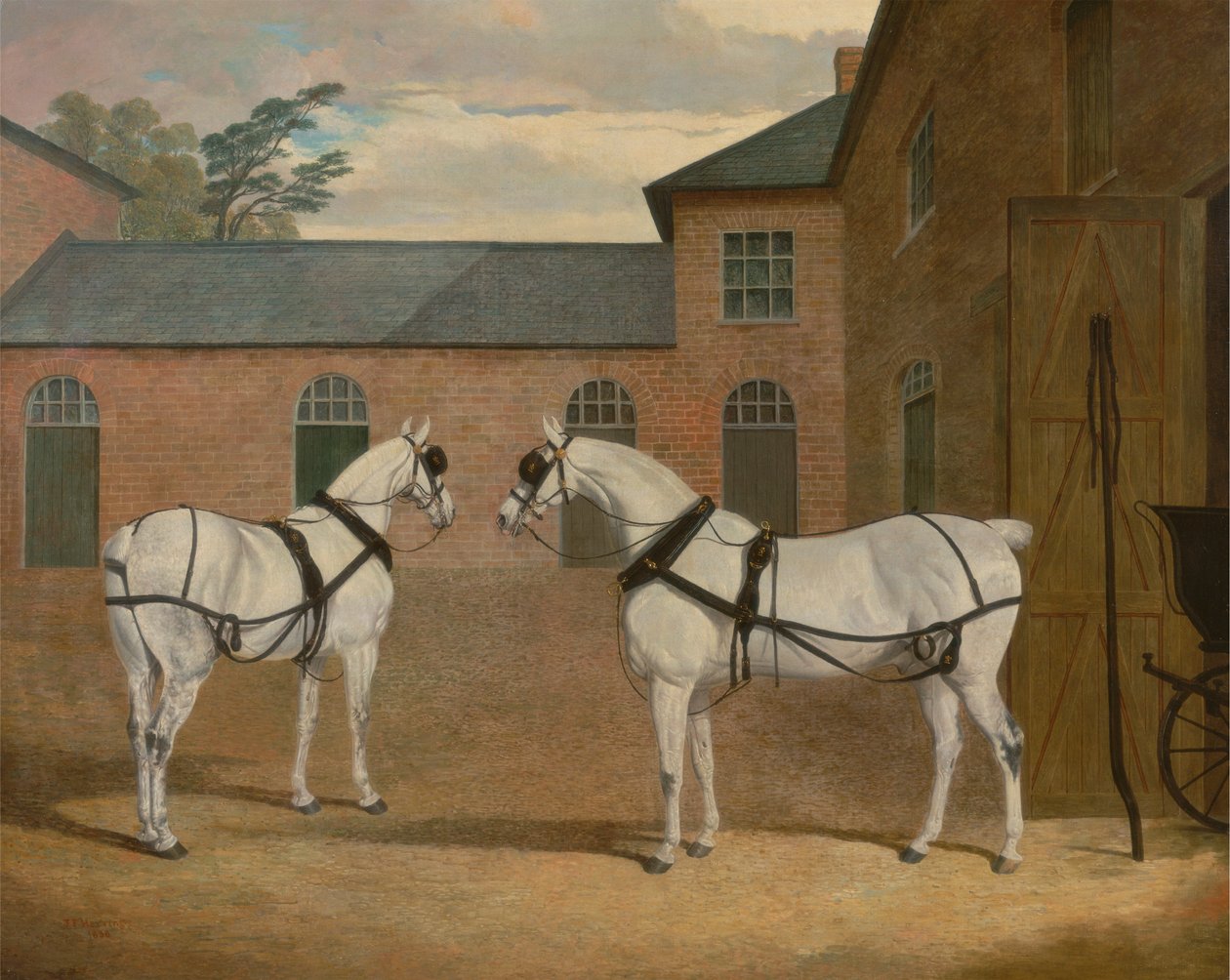 Harmaat vaunuhevoset Putteridge Buryn ratapihalla, Hertfordshiressä tekijältä John Frederick Herring