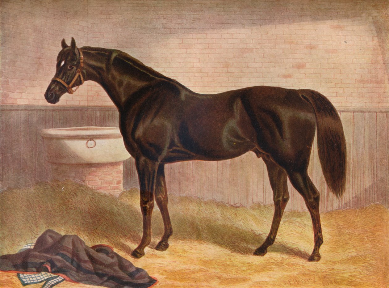 "Gladiaattori", 1800-luku tekijältä John Frederick Herring I