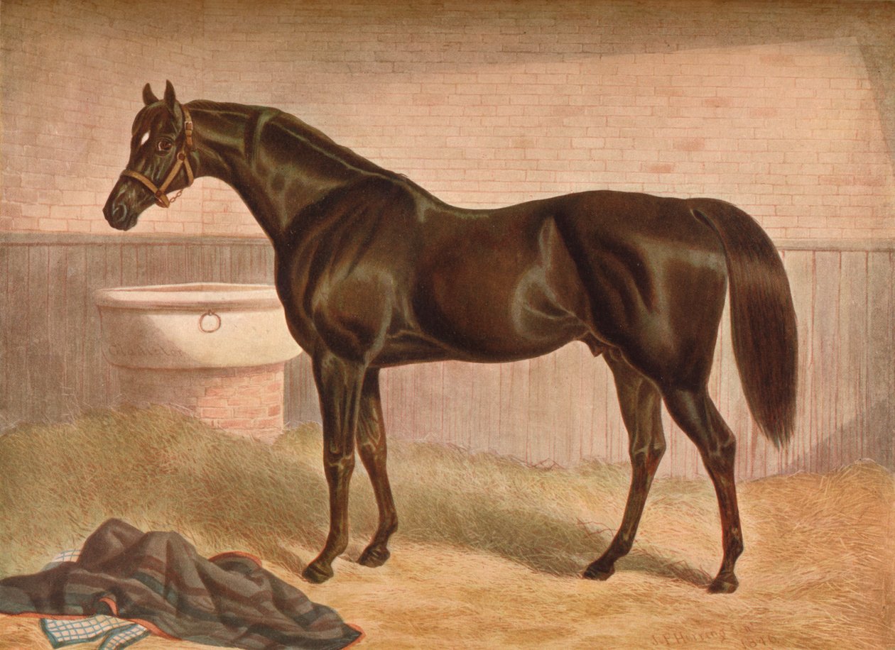 Gladiaattori, 1800-luku, 1903 tekijältä John Frederick Herring I
