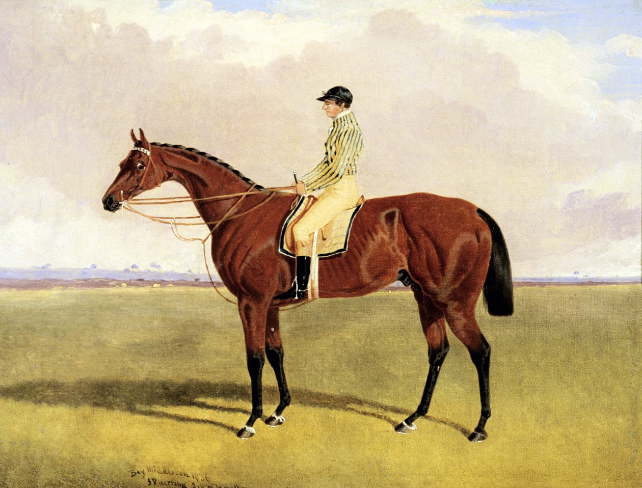 "Bay Middleton" Robinsonin kanssa tekijältä John Frederick Herring Jnr