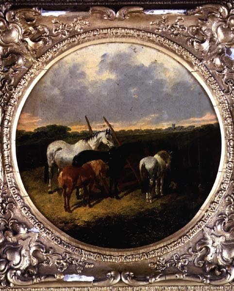 Hevoset rullalla niityllä tekijältä John Frederick Herring Jnr