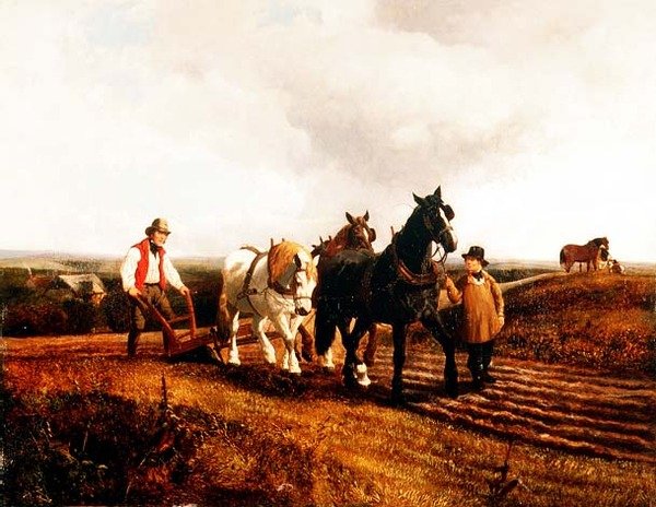 Kyntö tekijältä John Frederick Herring Jnr