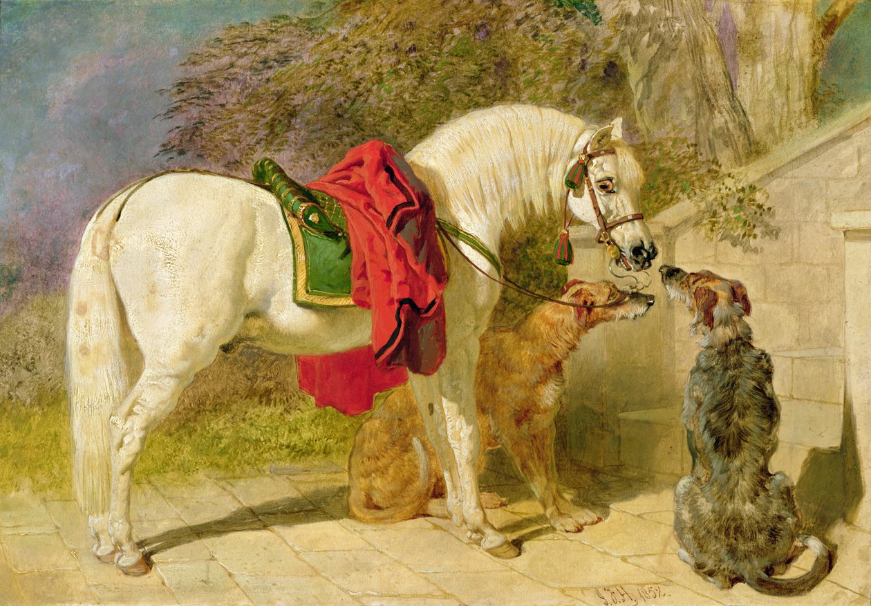 Squiren lemmikit tekijältä John Frederick Herring Jnr