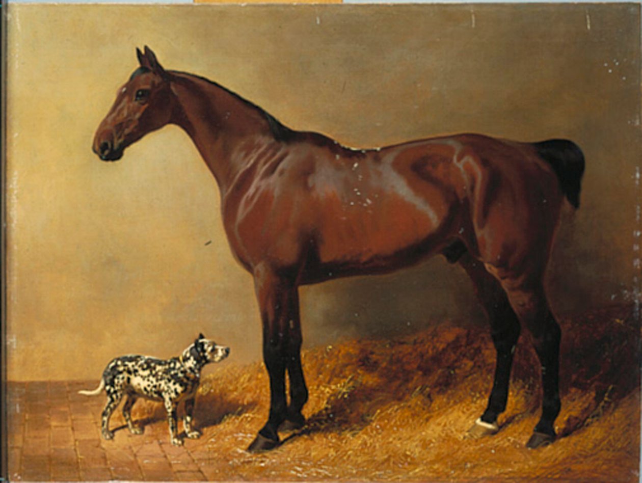 Bay Hunter ja täplikäs koira vakaassa sisätilassa, 1846 tekijältä John Frederick Herring Senior