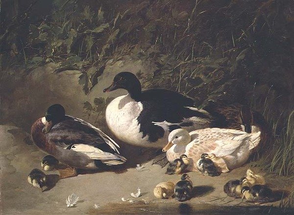 Ankat ja ankanpoikaset lammen rannalla tekijältä John Frederick Herring Senior