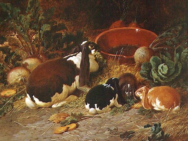 Fancy Rabbits, naaras poikansa kanssa tekijältä John Frederick Herring Senior