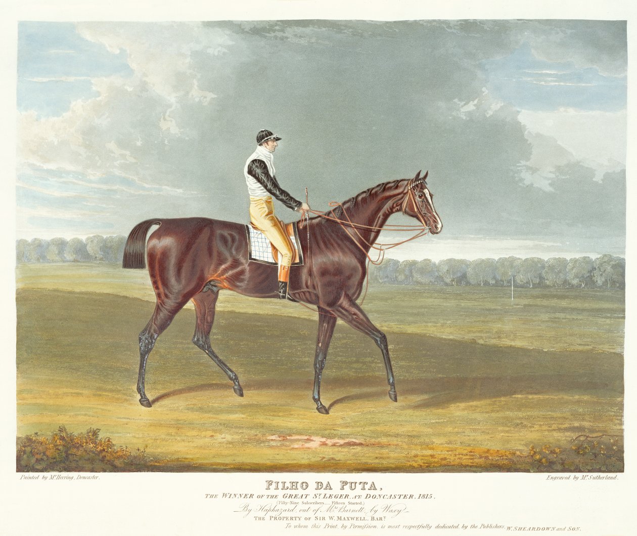 "Filho da Puta", suuren St. Legerin voittaja Doncasterissa, 1815, kaiverrus Thomas Sutherland (s. 1785), pub. kirjoittanut W. Sheardown und Son (akvatinta) tekijältä John Frederick Herring Senior