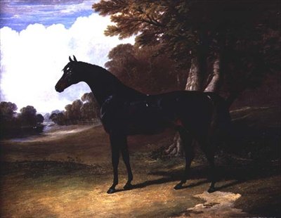 Gaucus, tumma lahtihevonen metsäisessä maisemassa (öljy kankaalle) tekijältä John Frederick Herring Senior