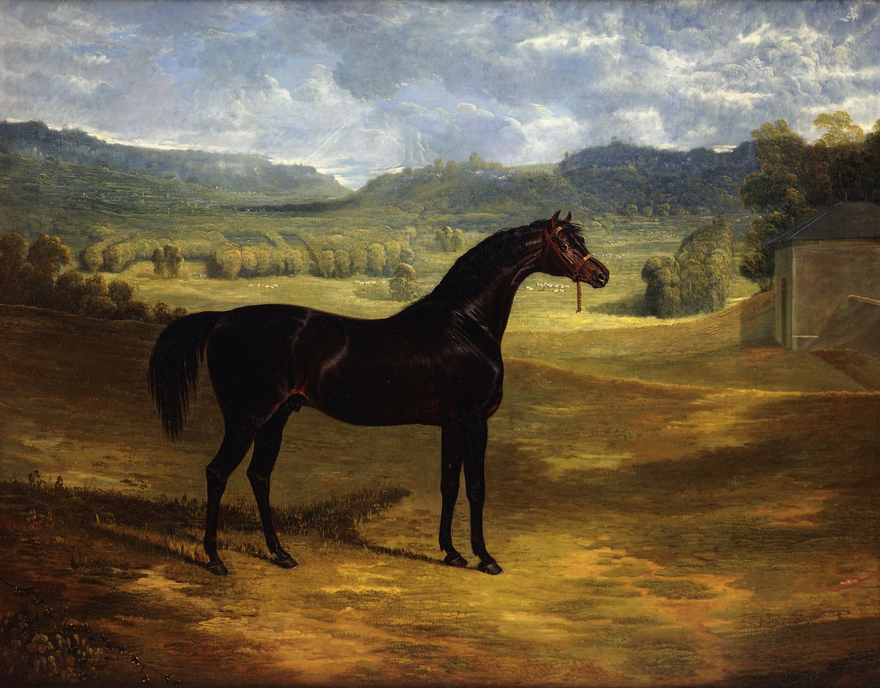 Jack Spigot, Dark Bayn kilpahevonen aitauksessa Bolton Hallissa, 1824 tekijältä John Frederick Herring Senior