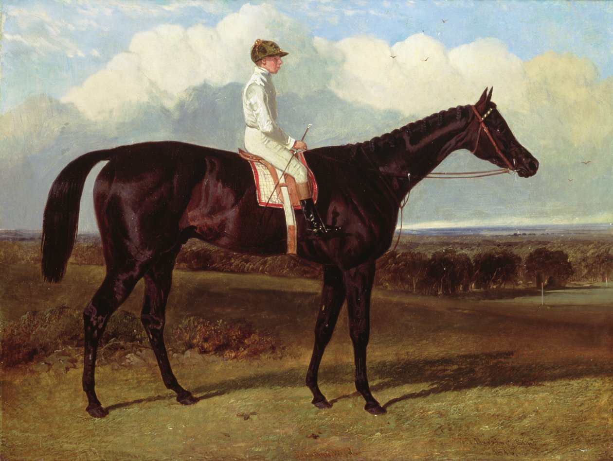 Jonathan Wild, Dark Bayn kilpahevonen, Goodwoodissa, T.Ryder up, 1846 tekijältä John Frederick Herring Senior