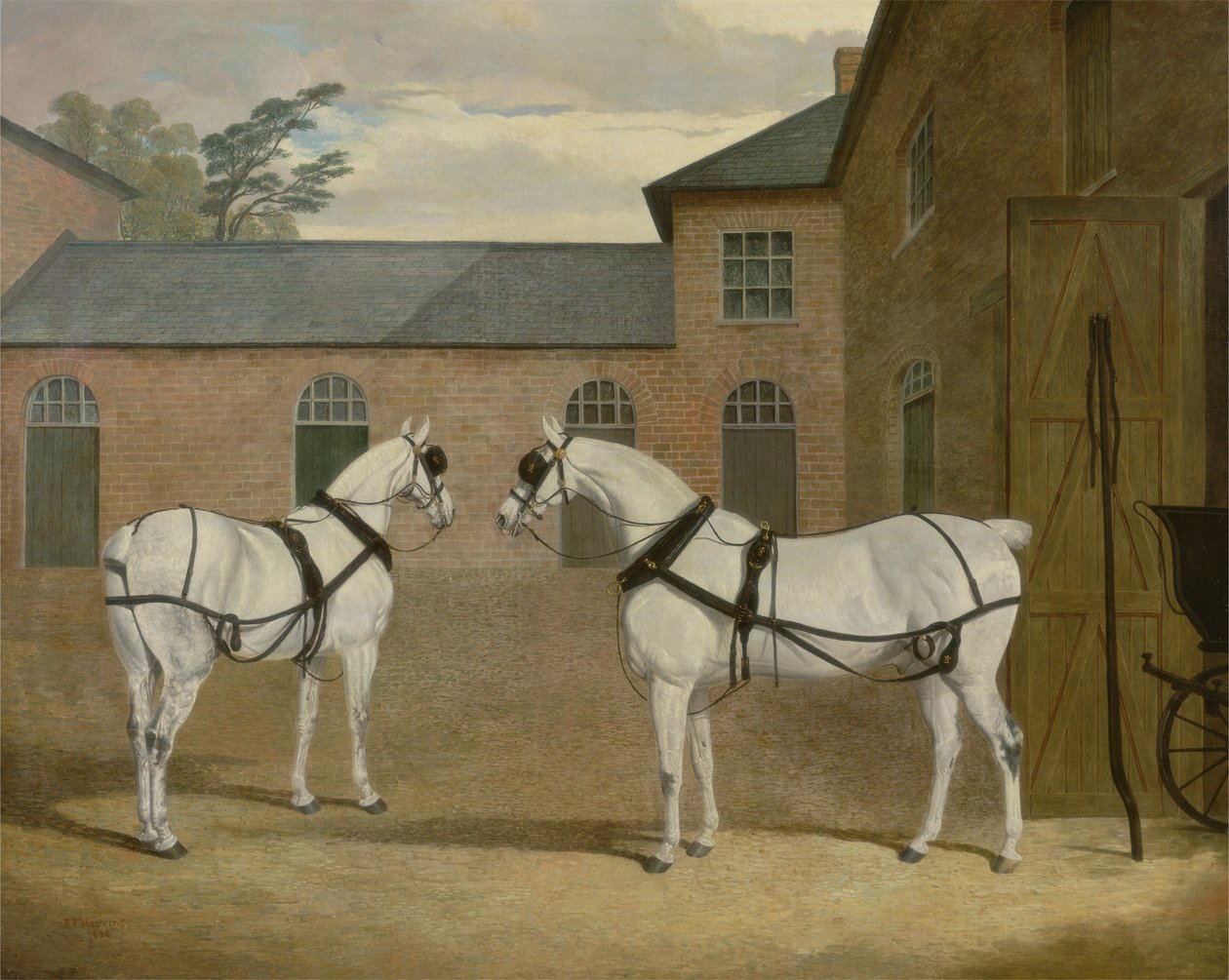 Mr. Sowerbyn harmaat vaunuhevoset hänen linja-autopihallaan Putteridge Buryssa, Hertfordshiressä, 1836 tekijältä John Frederick Herring Senior