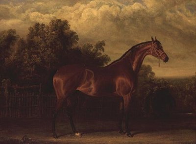 "Neuvottelija" Bay Colt metsäisessä maisemassa tekijältä John Frederick Herring Senior