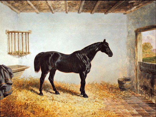 Muotokuva tallissa seisovasta orista (öljy paneelissa) tekijältä John Frederick Herring Senior