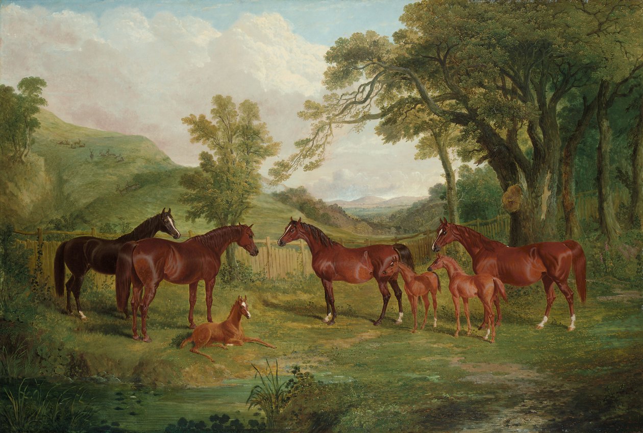 Streatlam Stud, tammat ja varsat, 1836 tekijältä John Frederick Herring Senior