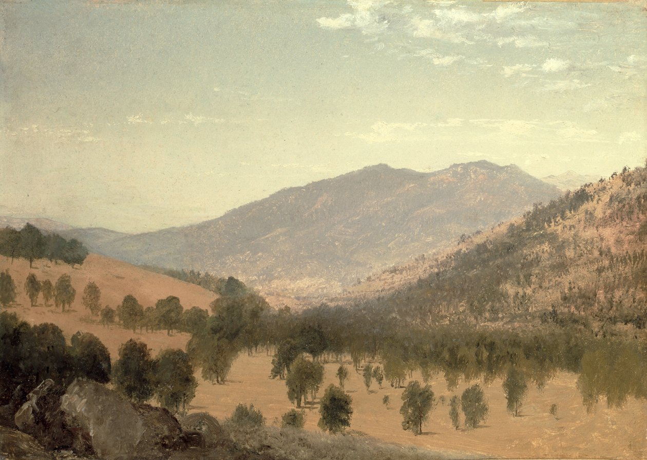 Bergen Park, Colorado (öljy kankaalle) tekijältä John Frederick Kensett