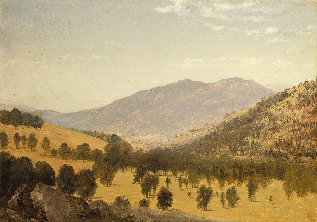 Bergen Park, Colorado, tekijältä John Frederick Kensett