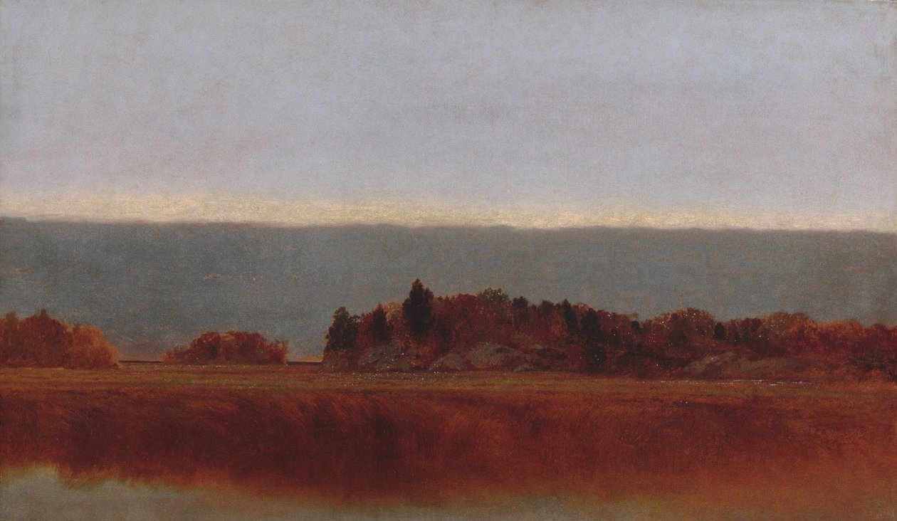 Salt Meadow lokakuussa tekijältä John Frederick Kensett