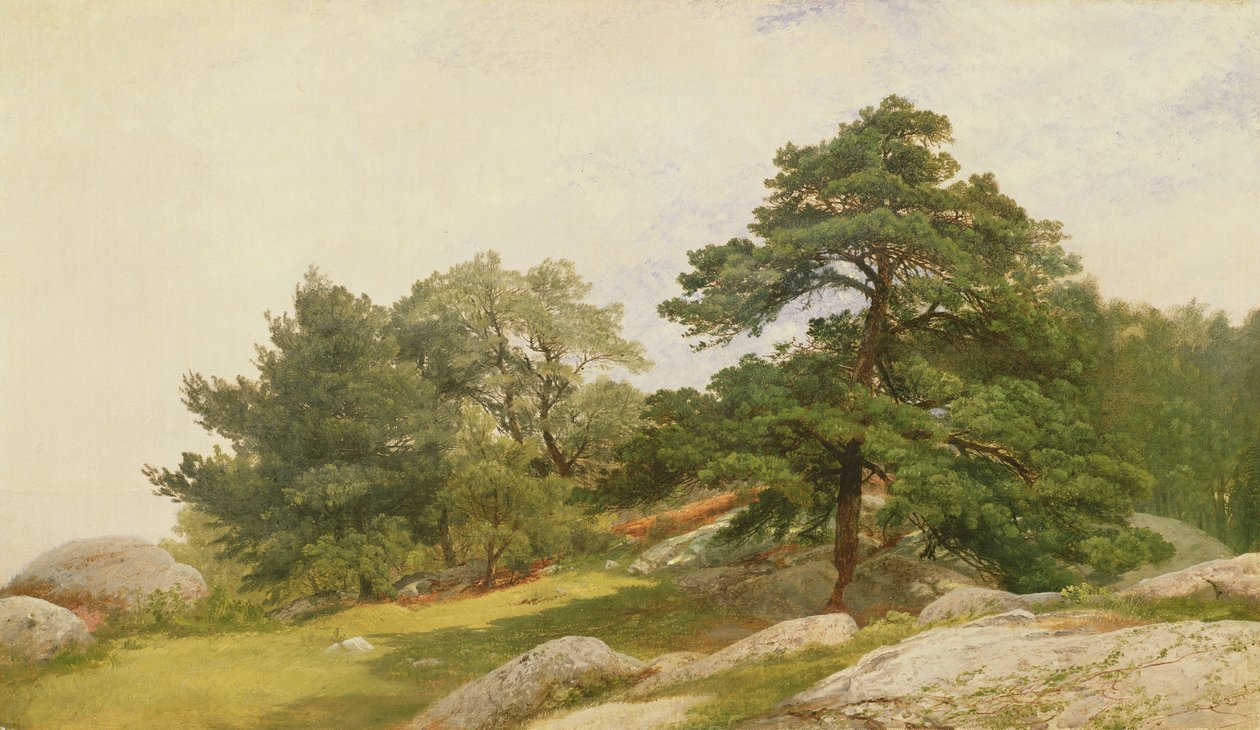 Tutkimus Beverly Coastin puille tekijältä John Frederick Kensett