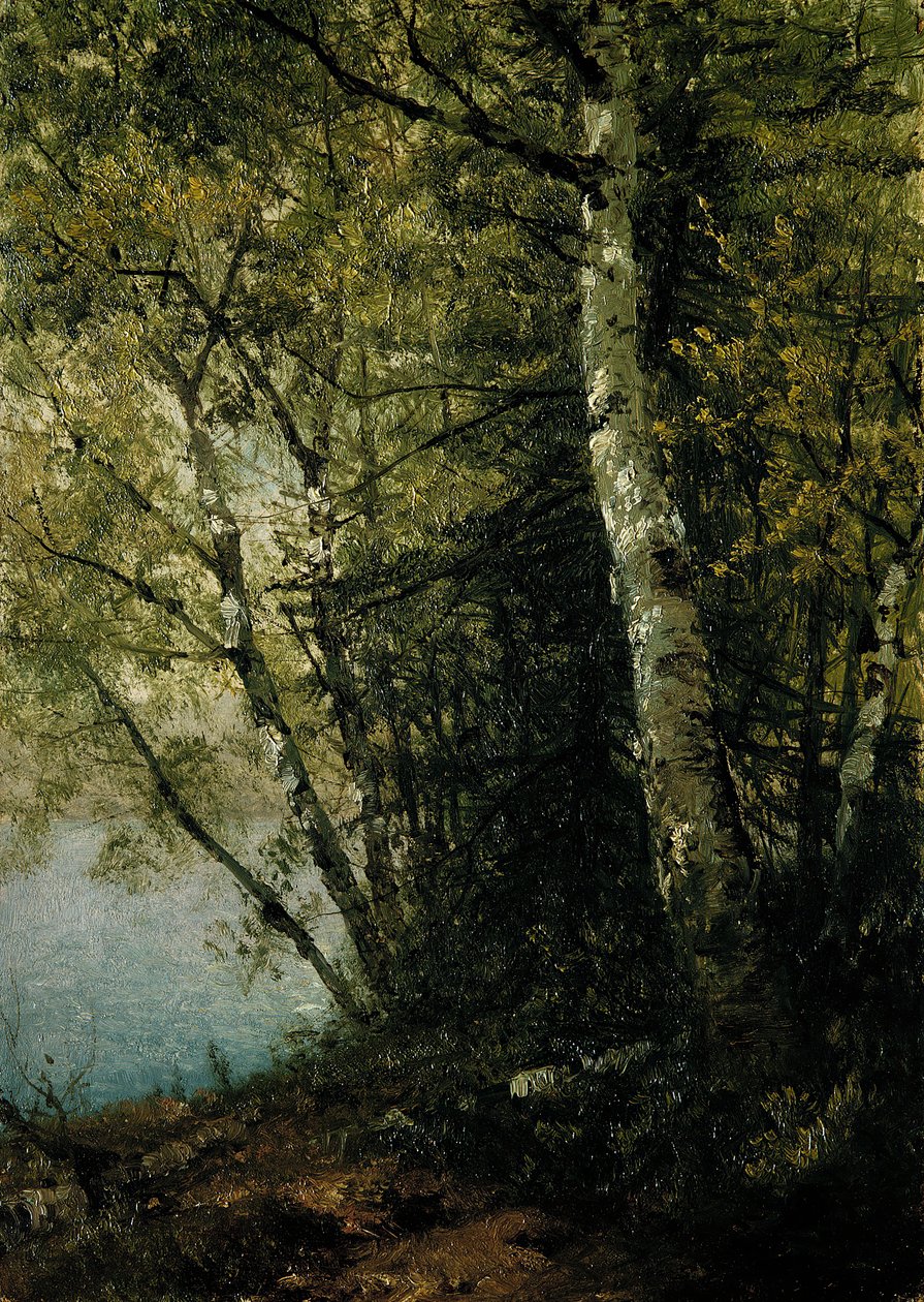 Pyökkitutkimus, 1872. tekijältä John Frederick Kensett