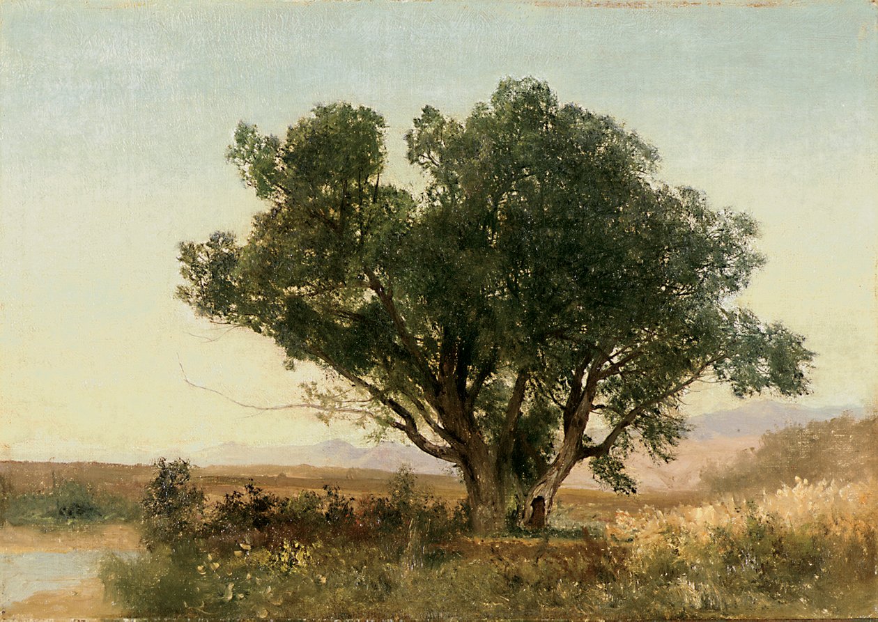 The Front Range, Colorado tekijältä John Frederick Kensett