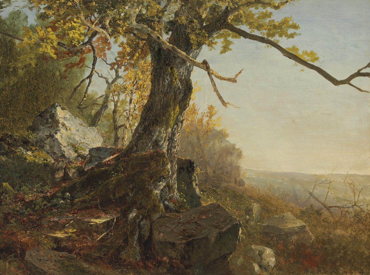 Puu maisemassa tekijältä John Frederick Kensett