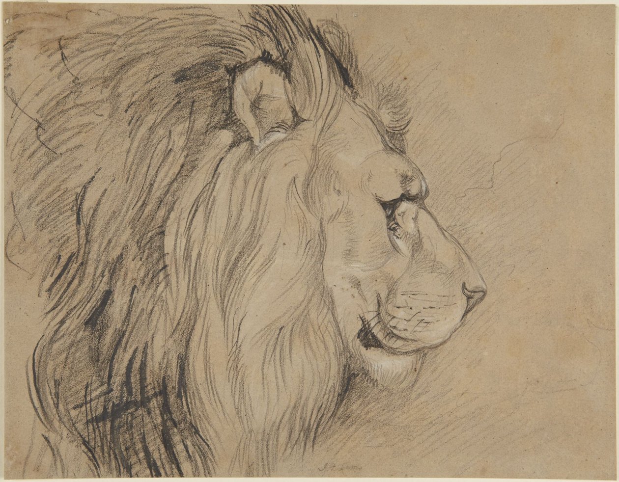 Leijona tekijältä John Frederick Lewis