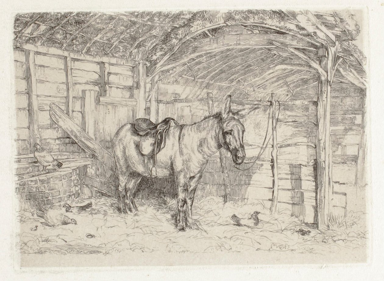 Vakaa tilanne tekijältä John Frederick Lewis
