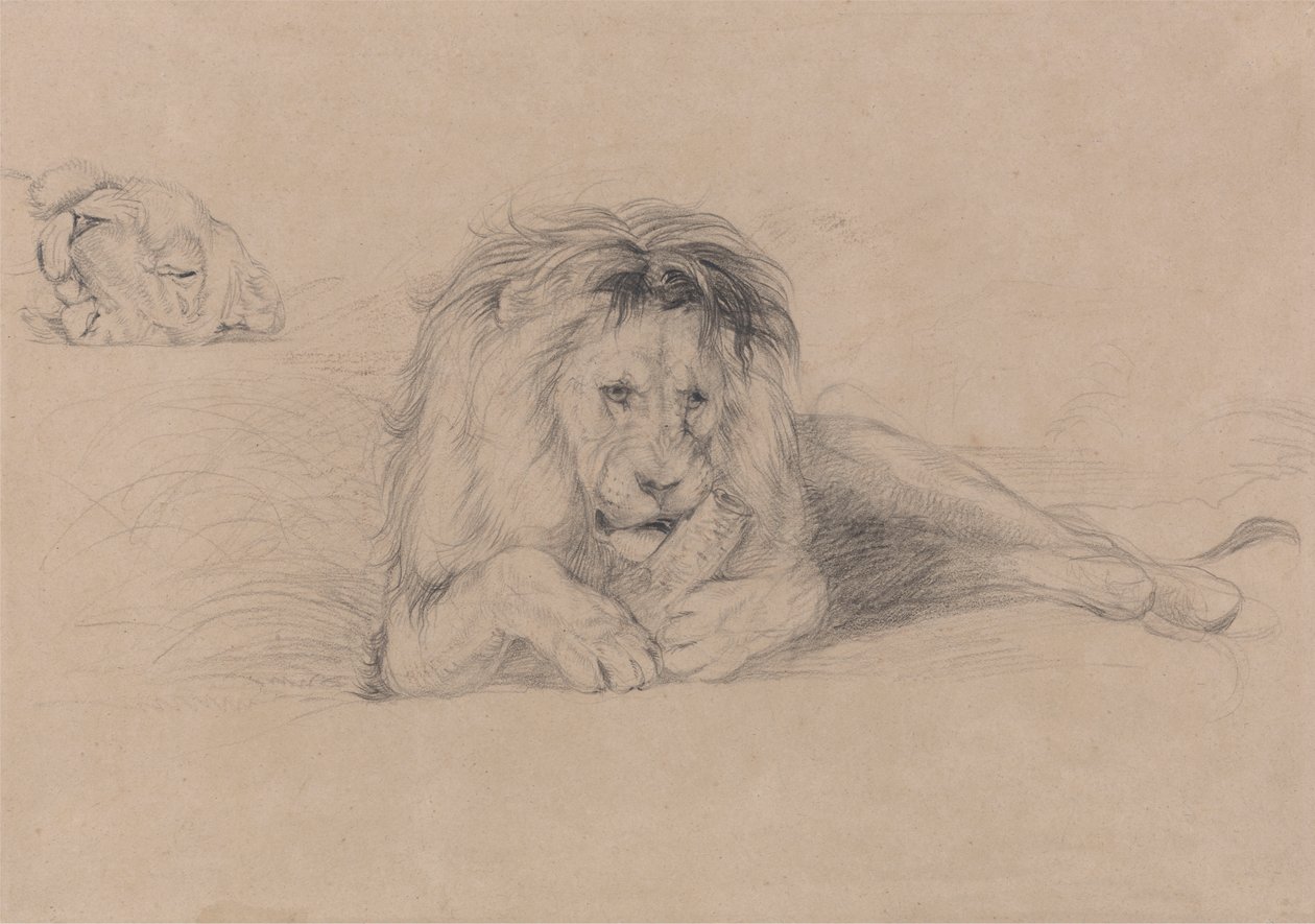 Tutkimus leijonasta ja lionessin pää tekijältä John Frederick Lewis
