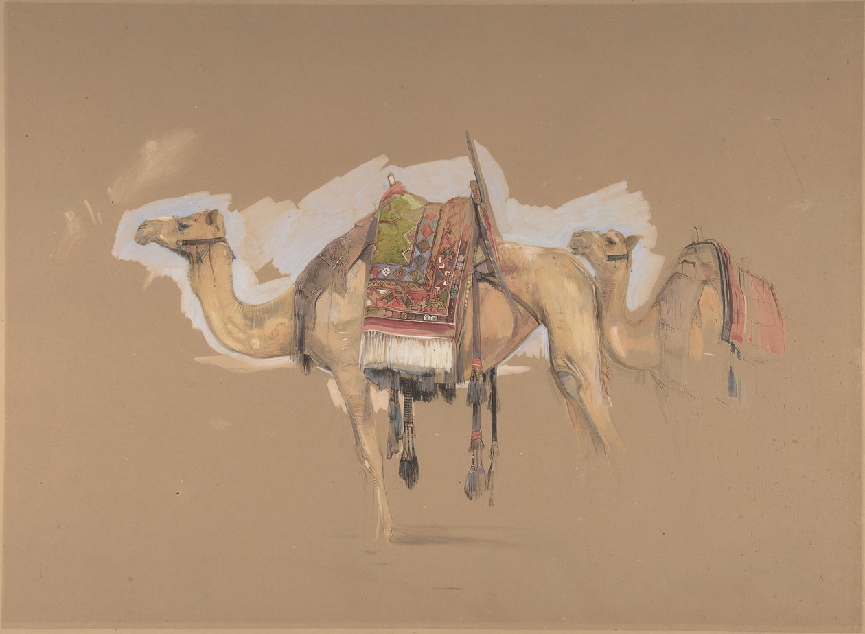Kaksi kamelia, n. 1843. tekijältä John Frederick Lewis