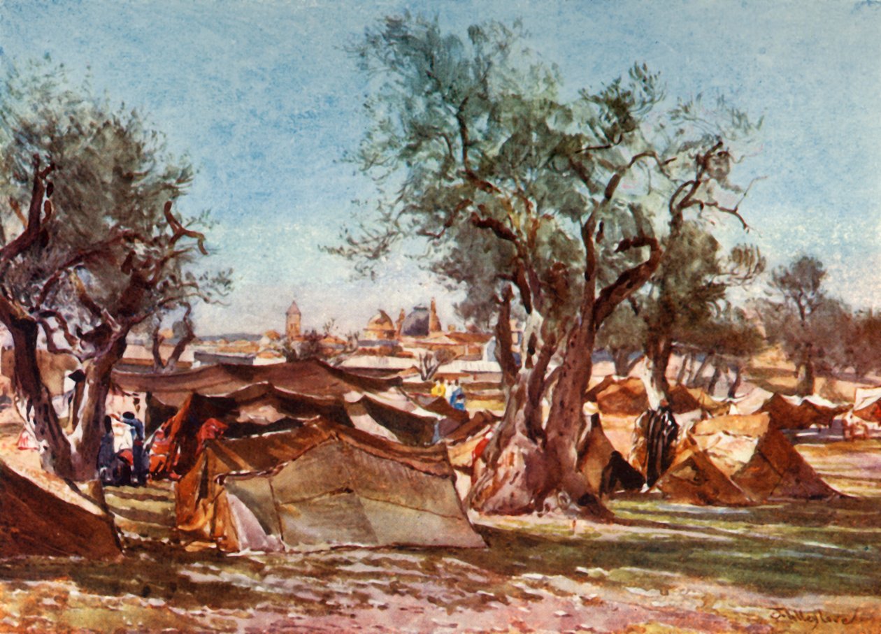 Beduiinileiri Jerusalemin pohjoismuurin ulkopuolella, 1902. tekijältä John Fulleylove